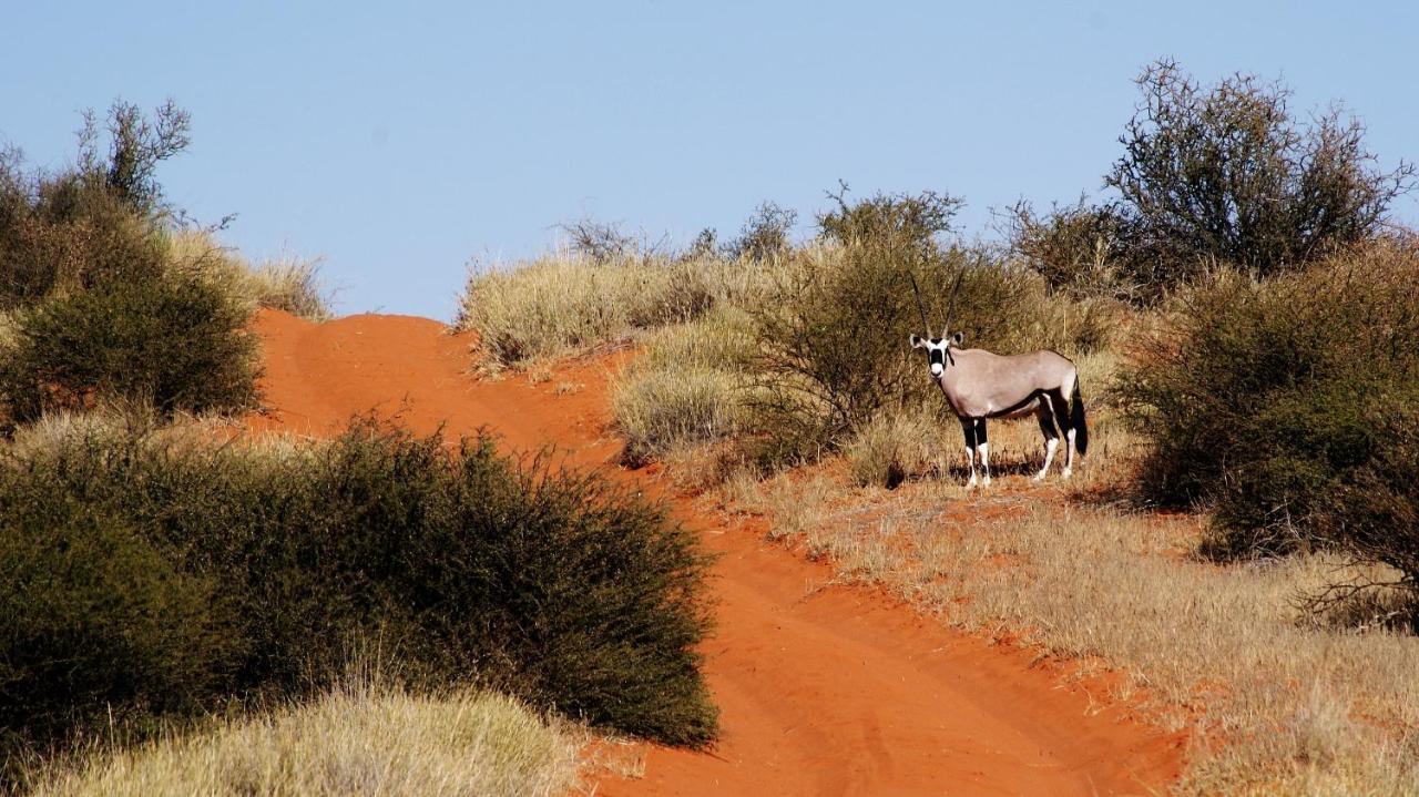 Kalahari Game Lodge Koes Exterior photo